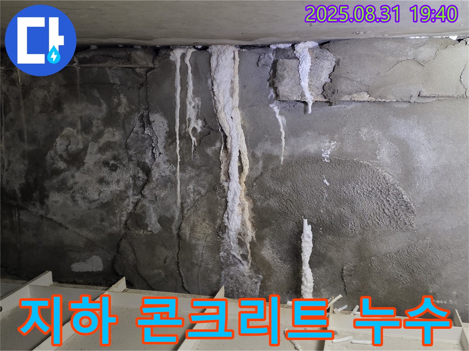 정자동 건물 지하 콘크리트 누수 - 심각한 누수 흔적과 백화현상으로 건물 손상 우려