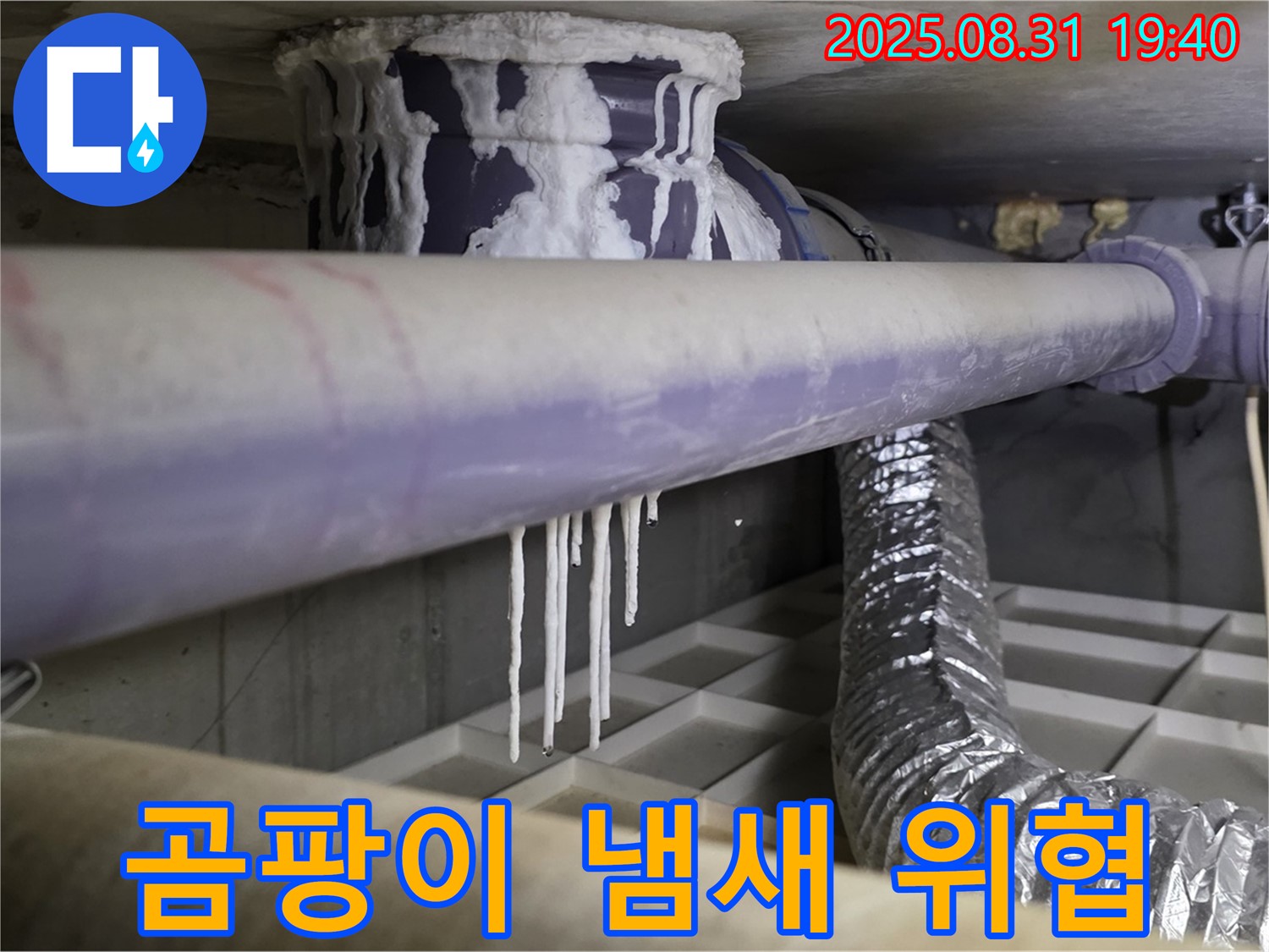 정자동 누수 - 배관 결로, 곰팡이 냄새로 건강 위협 - 곰팡이 제거 및 결로 방지 시공