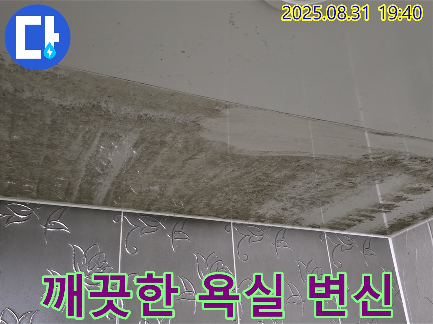 정자동 욕실 - 누수와 곰팡이 해결 후 깨끗해진 모습