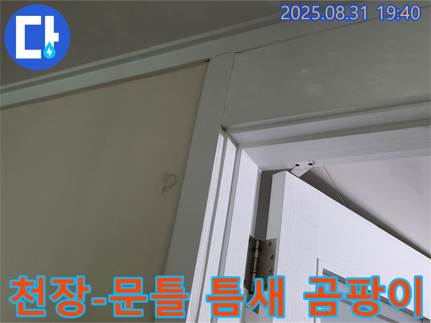 천장과 문틀 틈새 곰팡이 - 천장과 문틀 틈새에 곰팡이가 발생했습니다.