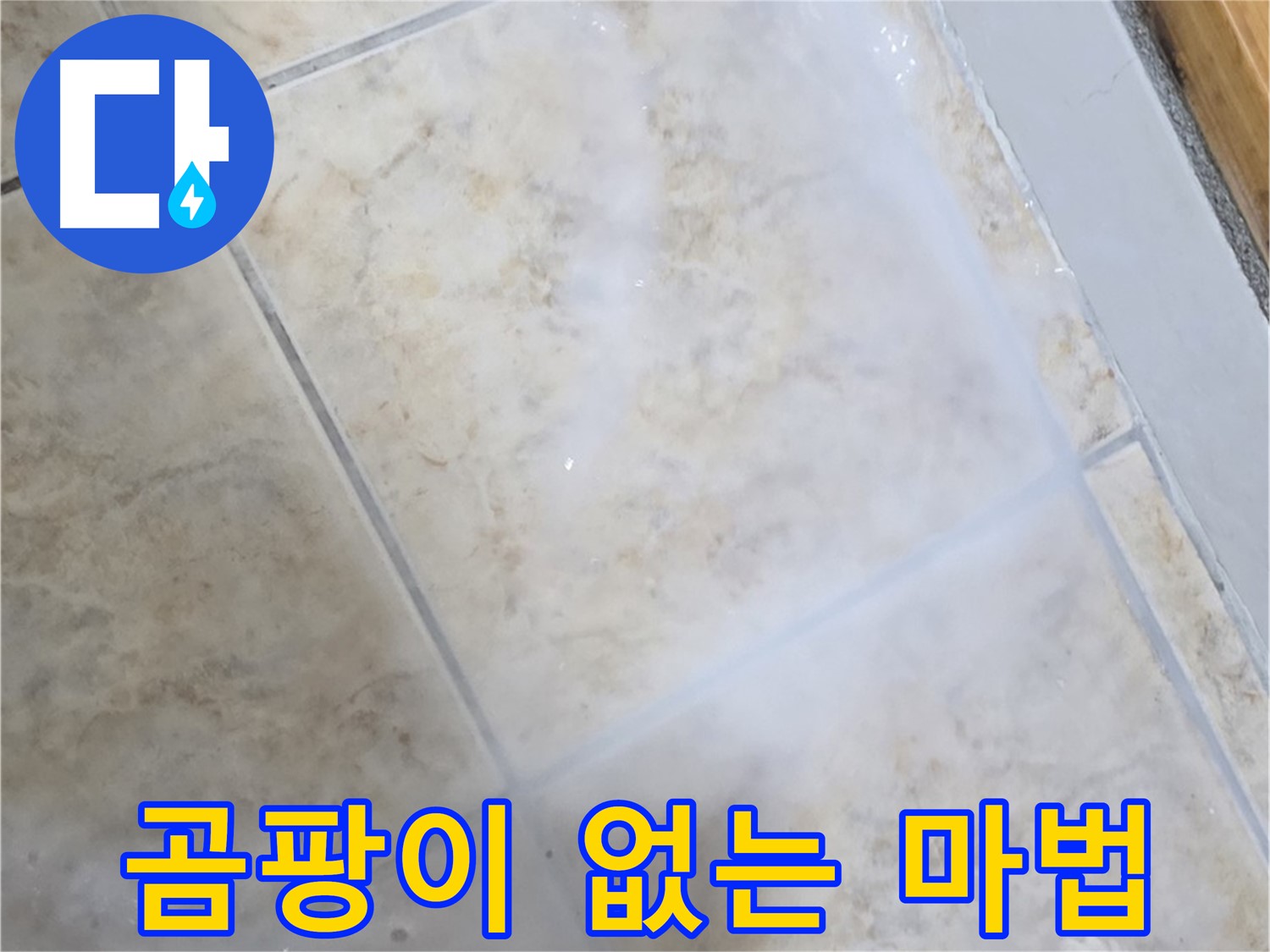 곰팡이 걱정 없이 - 깨끗하고 쾌적한 - 공간으로 변신하는 마법!
