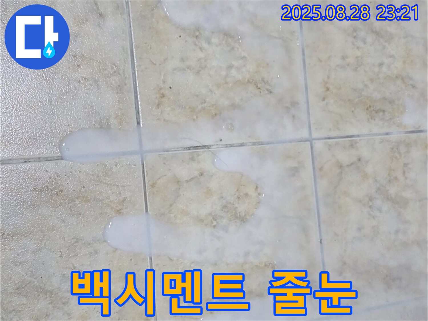 백시멘트와 줄눈 시공 비교 - 중랑구 묵동 아파트 욕실에서 백시멘트와 줄눈 시공의 차이점을 설명하는 모습입니다.