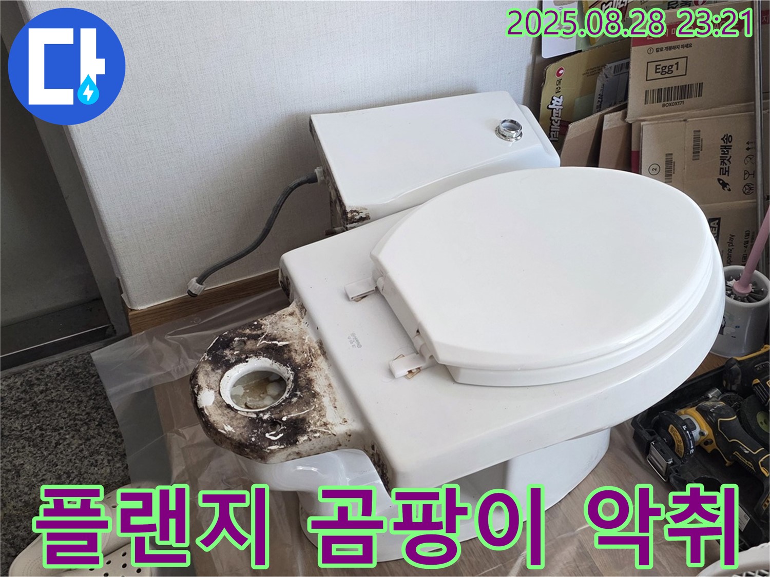 변기 누수 - 중랑구 묵동 오염된 정심 플랜지, 곰팡이와 악취
