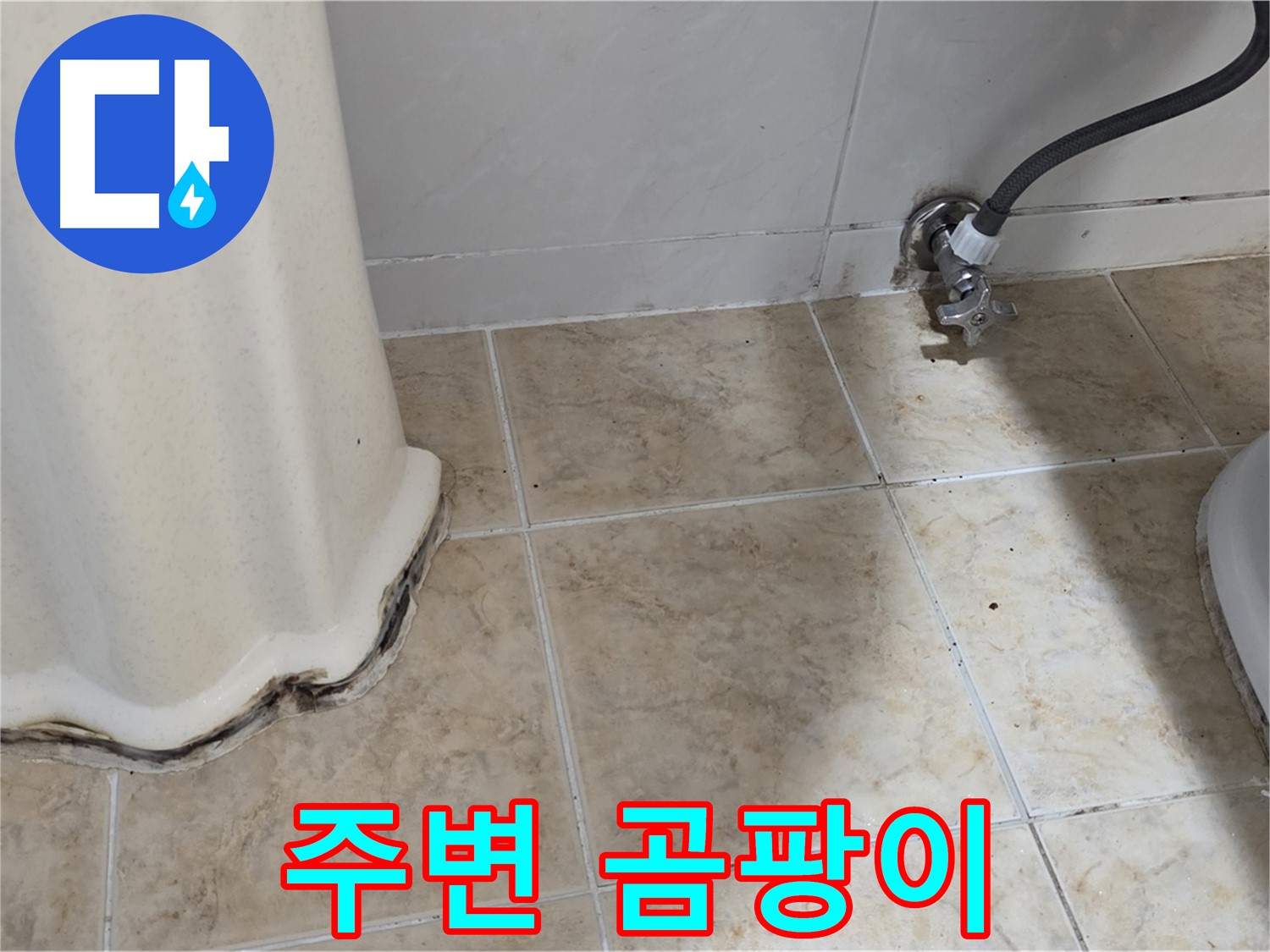 세면대 주변 곰팡이 - 이제 깨끗하게 청소하세요 - 곰팡이 청소 전문가
