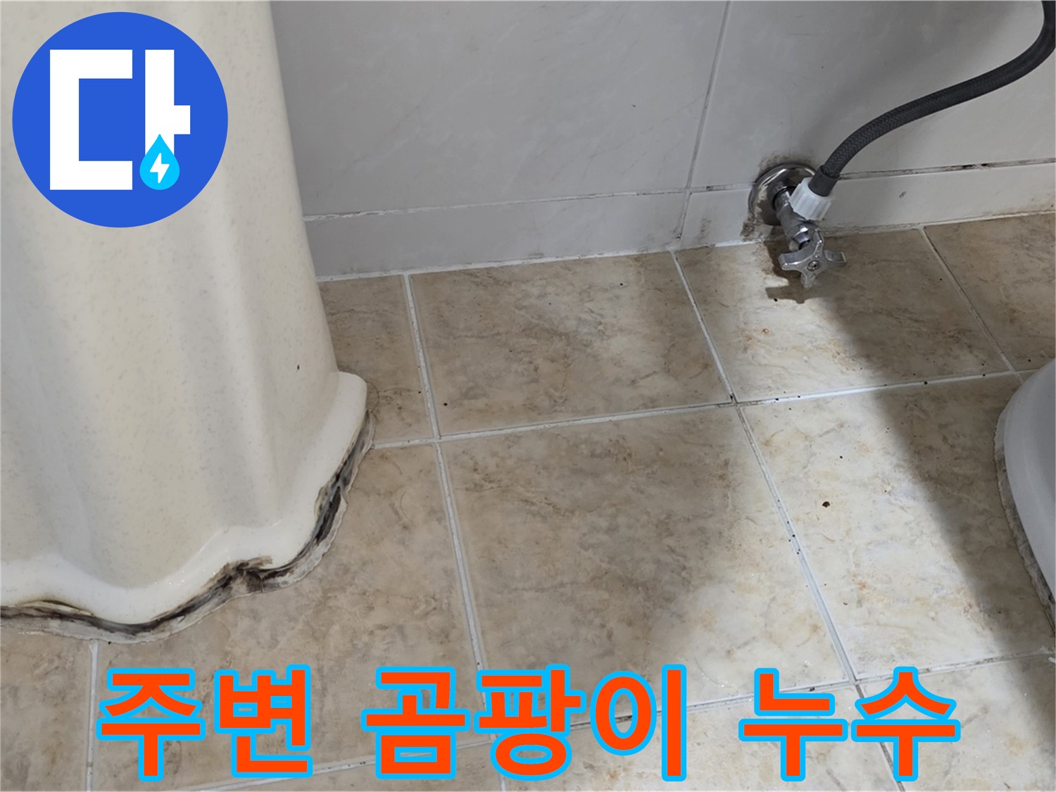 세면대 주변 곰팡이 - 쾌적한 욕실 필수 - 곰팡이 제거 전문가
