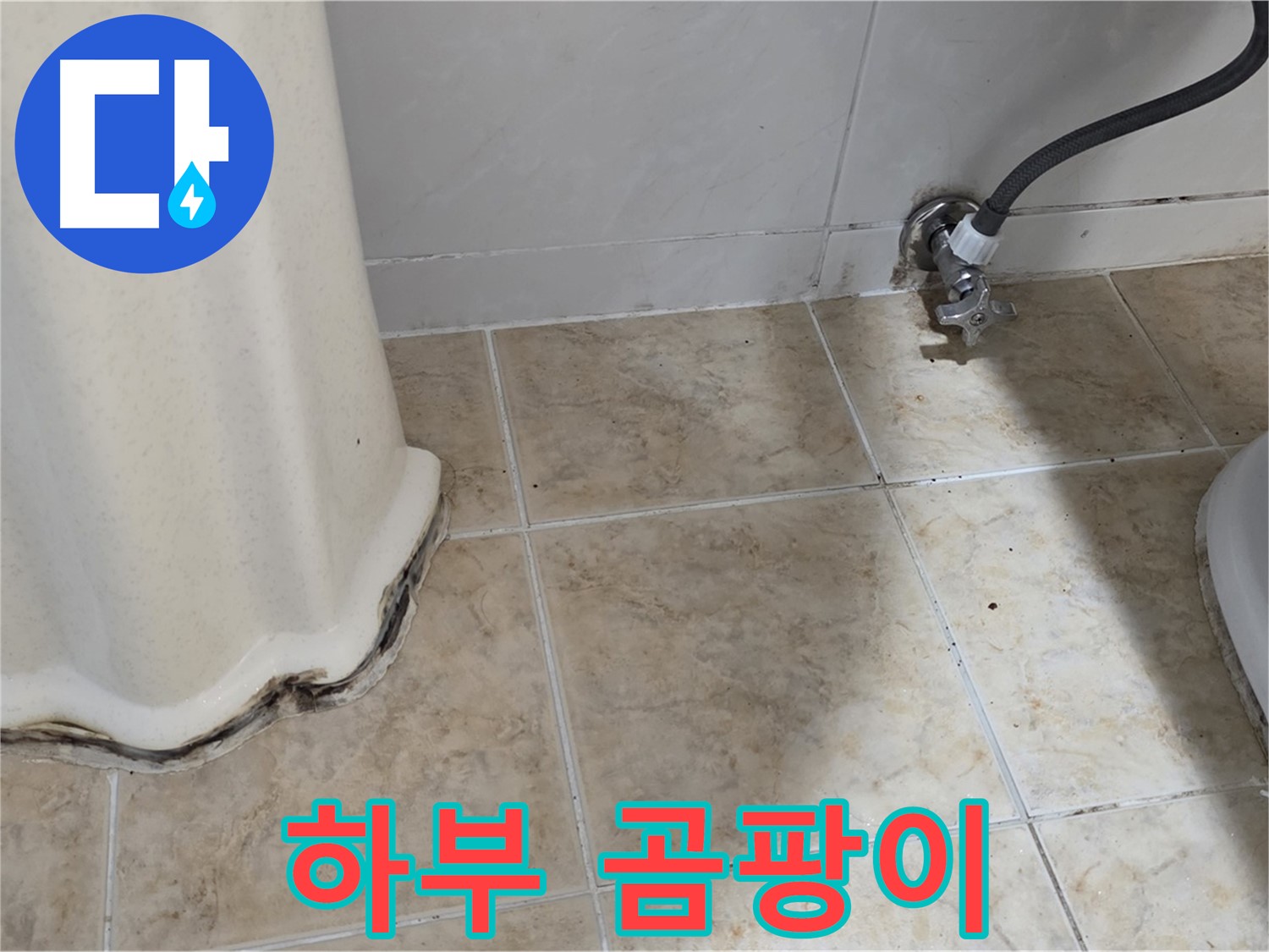 세면대 하부 곰팡이 - 가족 건강 지킴이 - 곰팡이 제거 필수