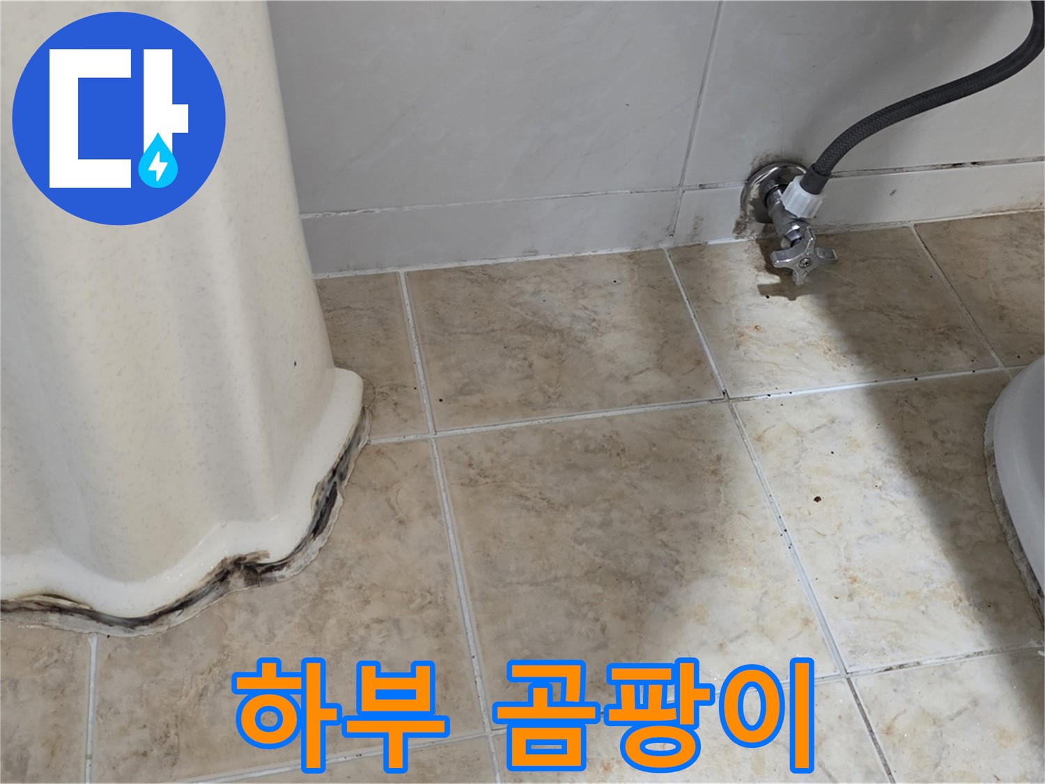 세면대 하부 곰팡이 - 가족 건강 지킴이 - 곰팡이 제거 필수