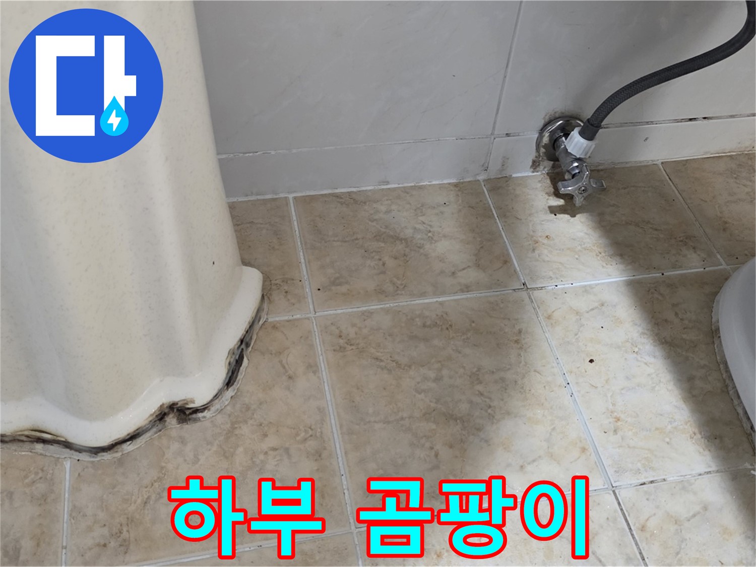 세면대 하부 곰팡이 - 건강한 생활을 위해 제거하세요 - 곰팡이 제거 전문가