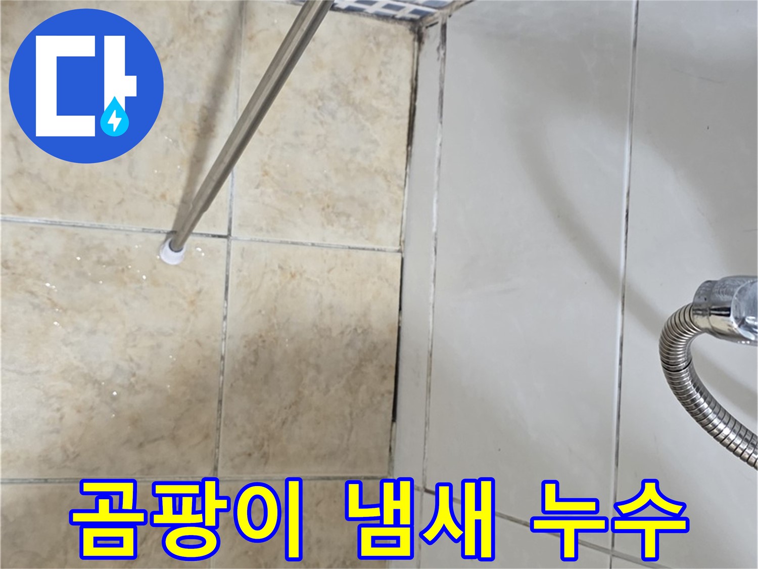 욕실 곰팡이 냄새 - 누수 가능성 - 정밀 점검