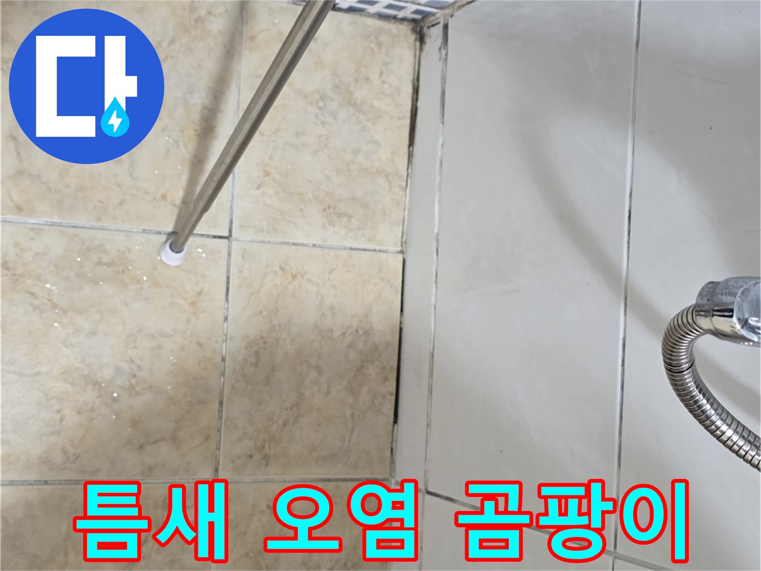 욕실 틈새 오염 - 곰팡이 - 누수 신호 - 주의 필요