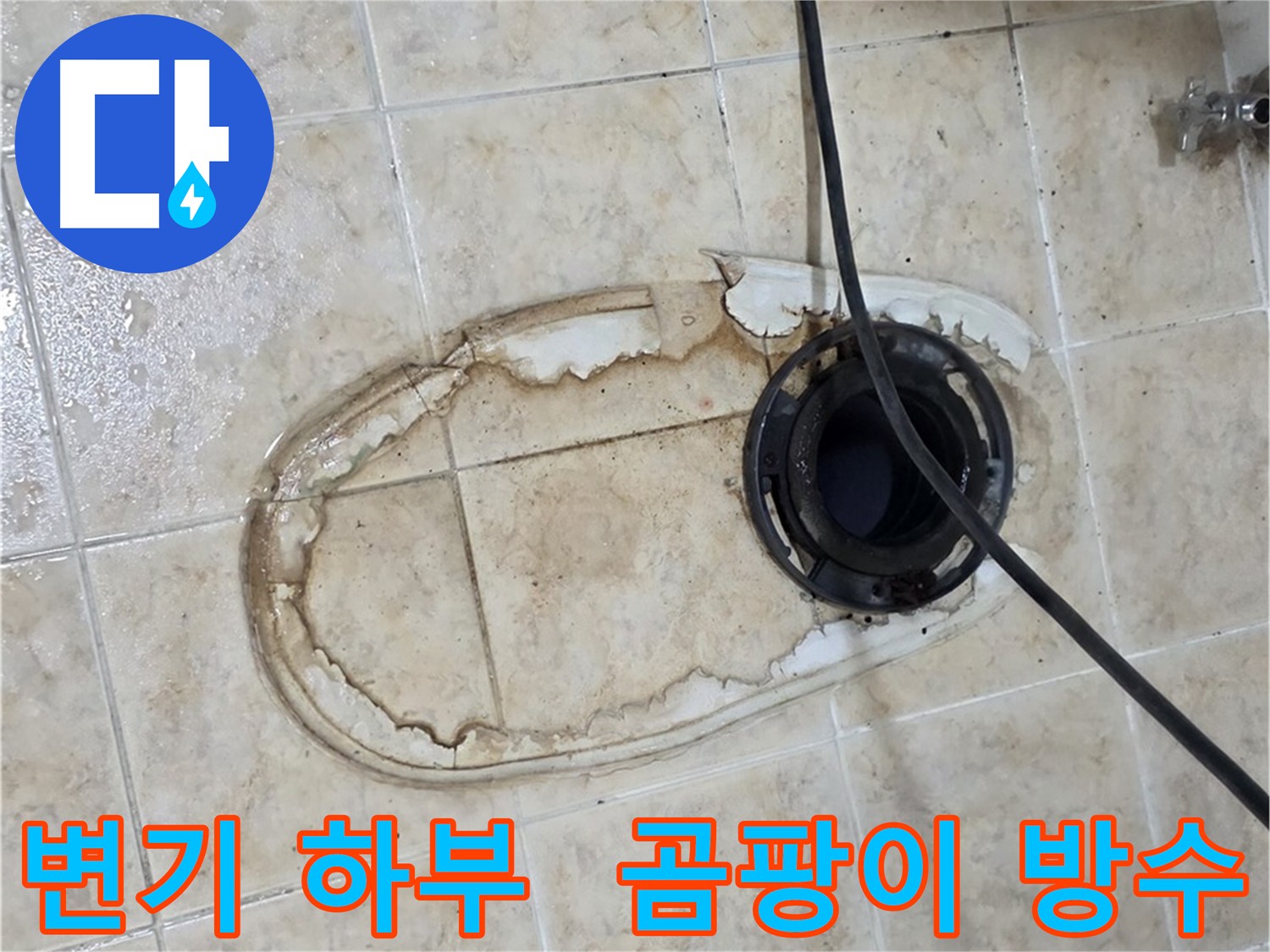 변기 하부 누수 - 곰팡이 발생 주범 - 곰팡이 제거 및 방수층 강화