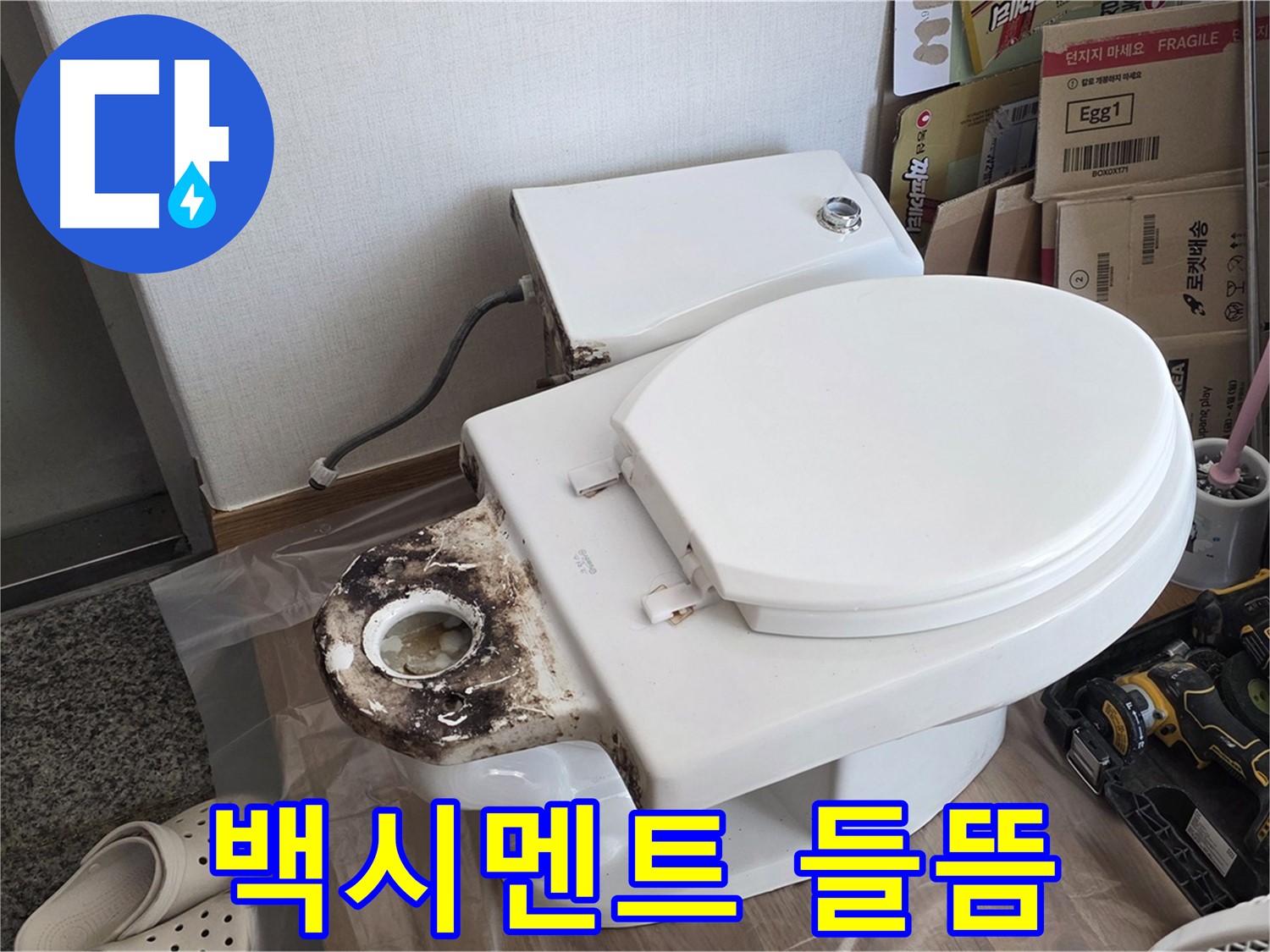 중랑구 묵동 변기 백시멘트 들뜸 - 누수 원인 제거 후 재시공으로 해결!