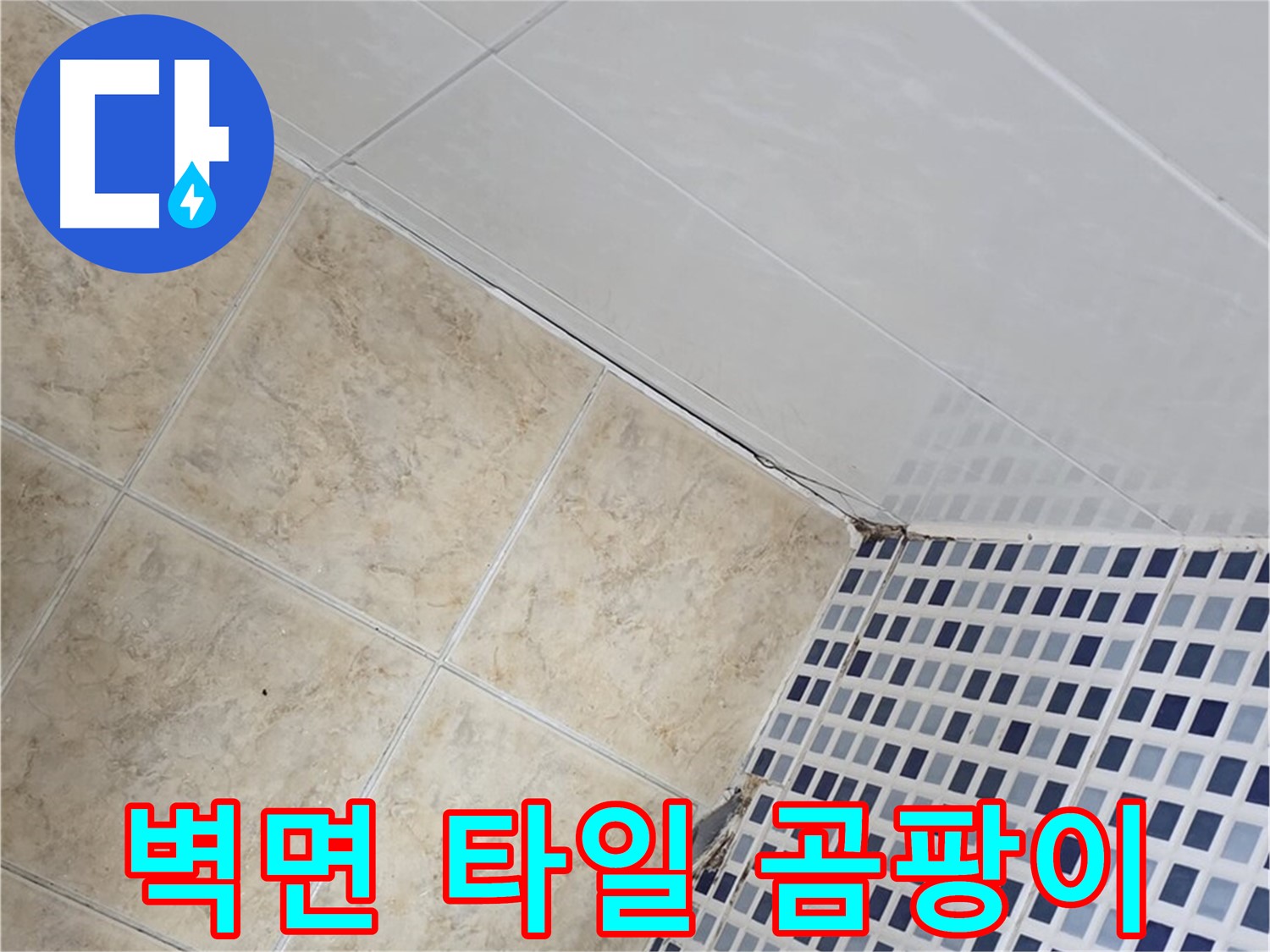 중랑구 묵동 욕실 벽면 타일 사이 누수 - 곰팡이 문제 해결을 위한 완벽한 시공