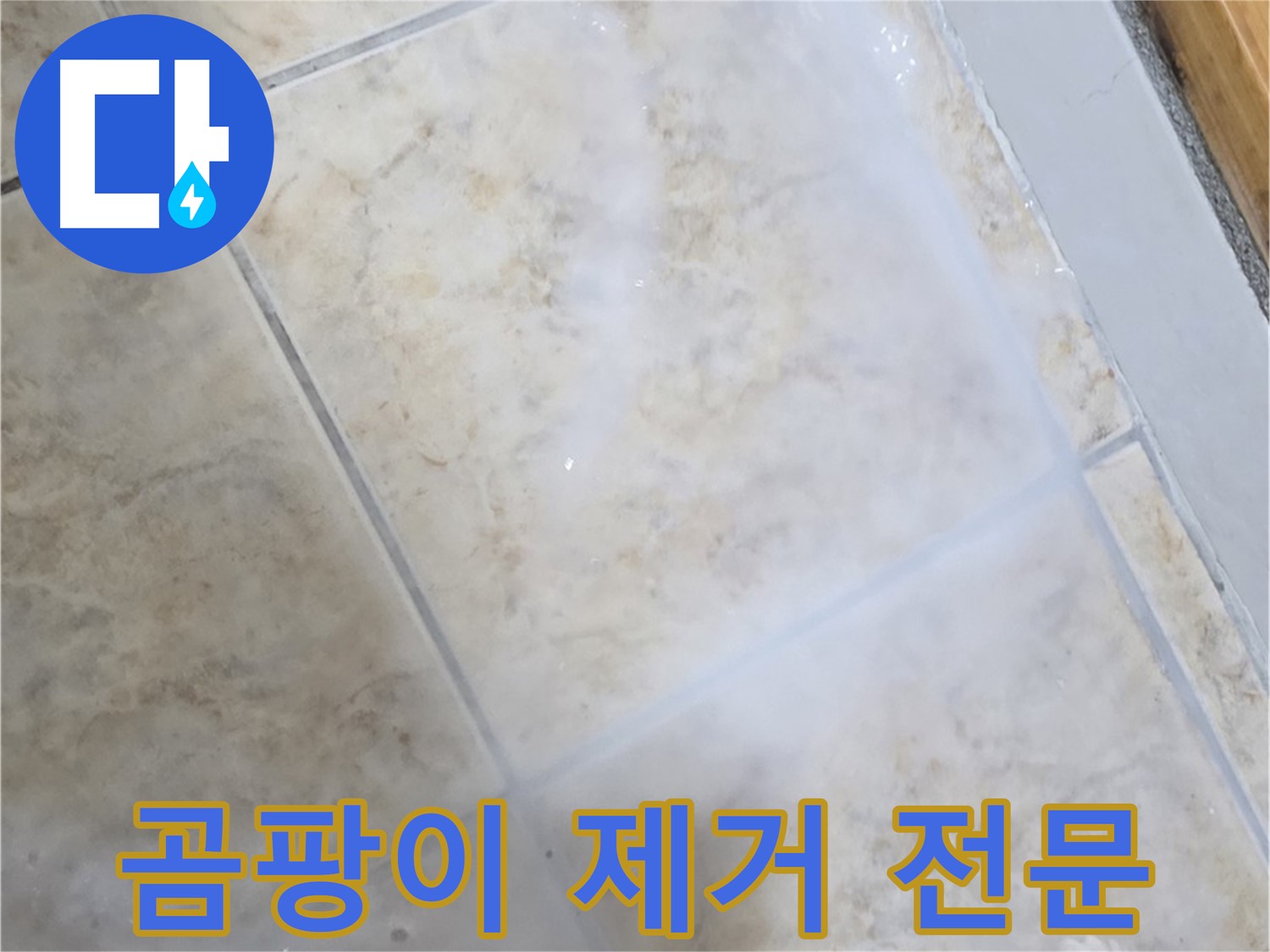 타일 틈새 곰팡이 - 제거 전문 업체에 - 맡겨주세요!