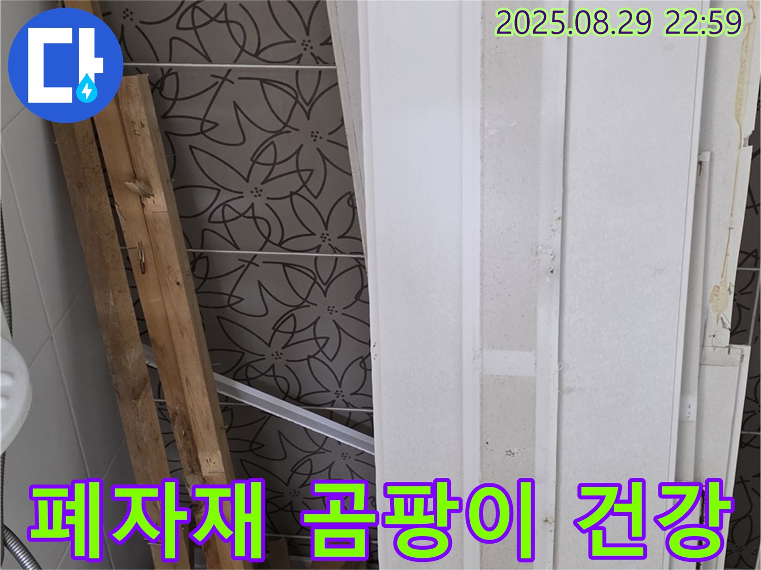 양주 백석 서광아침의빛아파트 누수 - 폐자재 속 곰팡이, 가족 건강을 위협하는 무서운 존재!