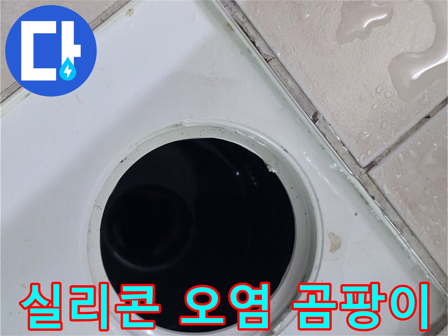 양주 백석 서광아침의빛아파트 욕실 배수구 주변 실리콘 오염 - 곰팡이 심각