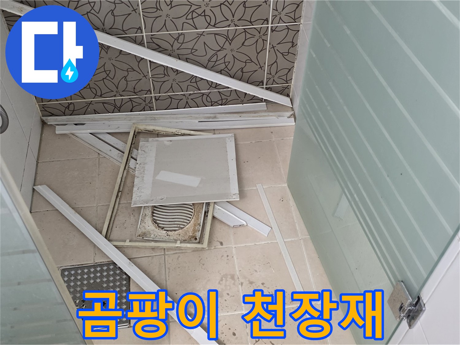 양주 백석 서광아파트 누수 - 욕실 천장 누수, 곰팡이와 내려앉은 천장재