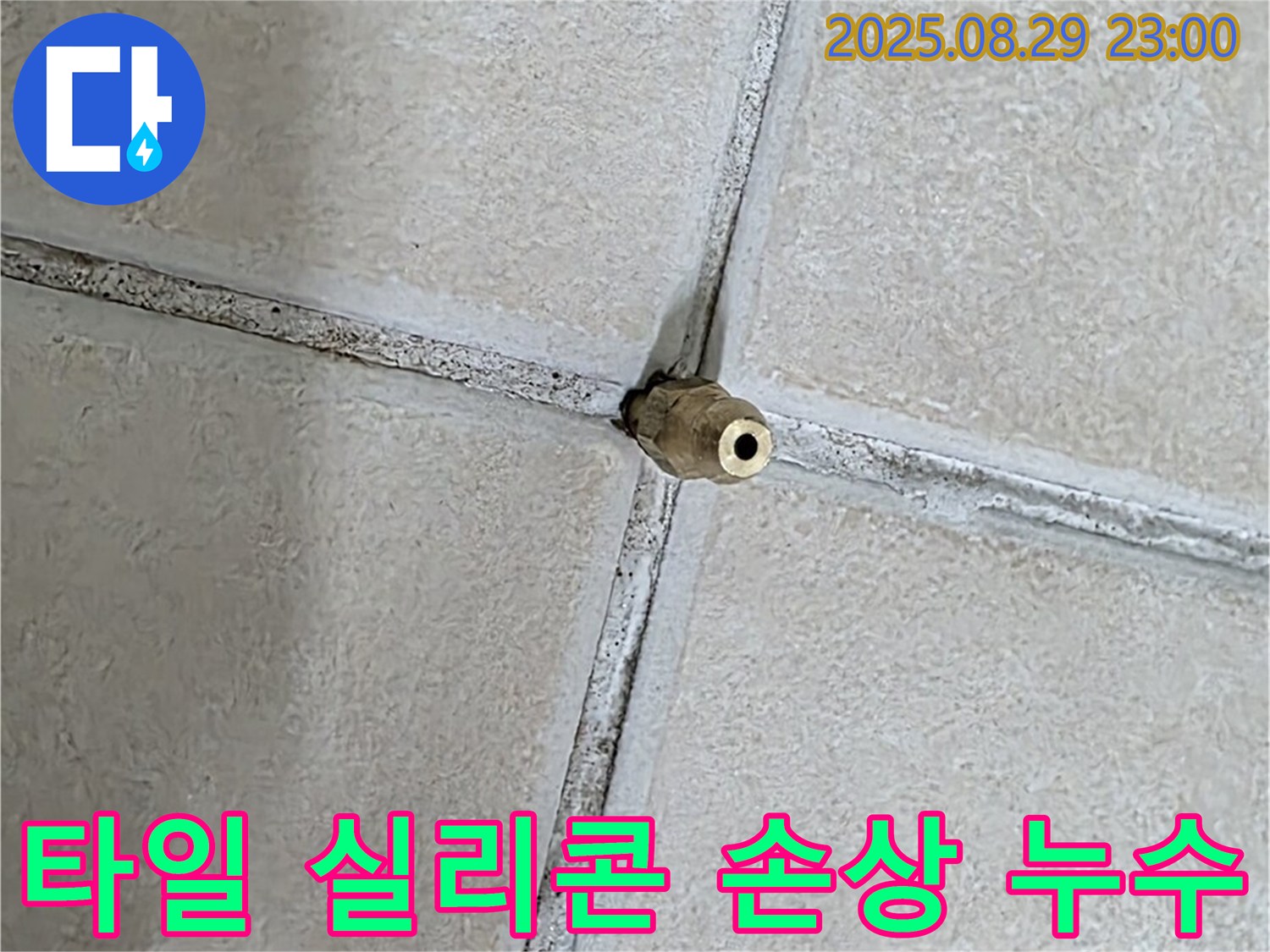 양주 백석 서광아파트 누수 - 타일 사이 실리콘의 손상이 누수를 유발할 수 있습니다. - 꼼꼼한 점검이 필요합니다.