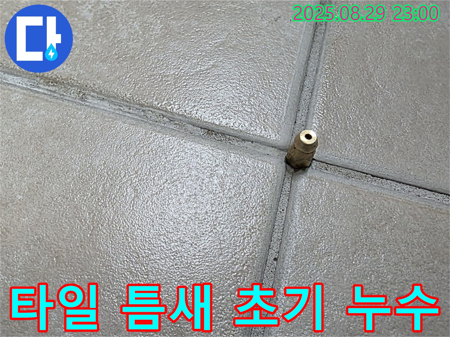 양주 백석 서광아파트 누수 - 타일 틈새 누수가 초기 단계임을 확인하고 있습니다. 초기 발견은 빠른 해결을 가능하게 합니다.