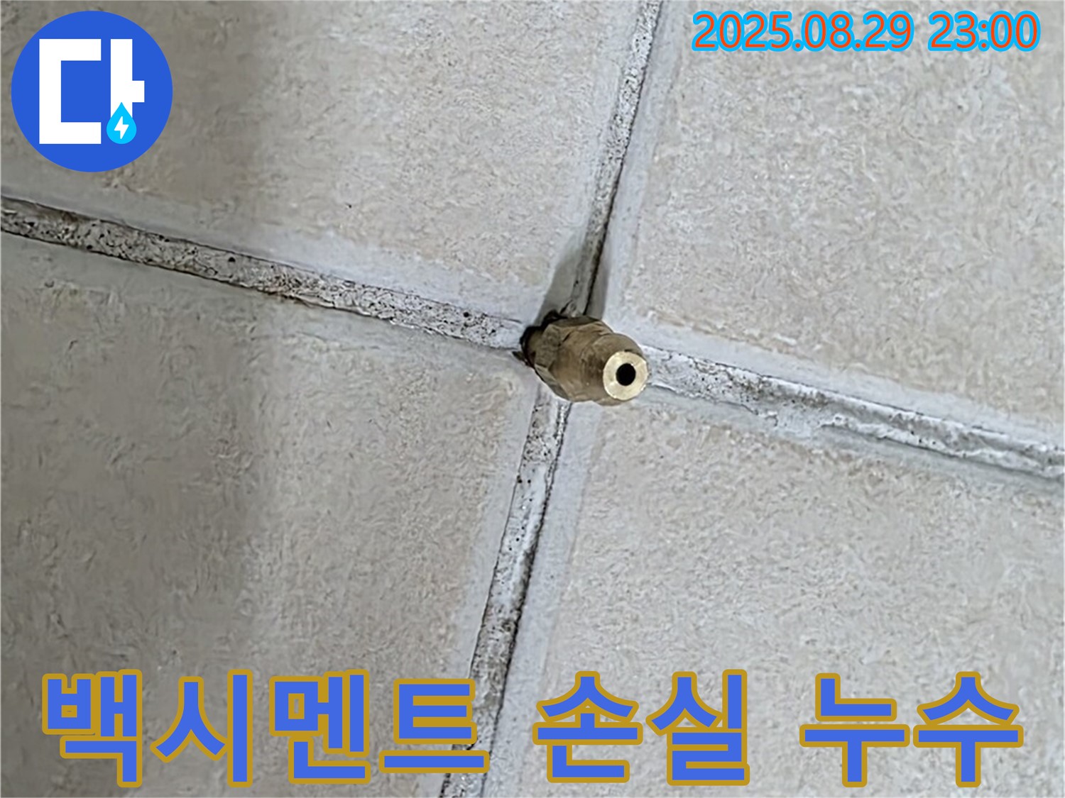 양주 백석 서광아파트 누수 - 타일 틈새 백시멘트 손실은 누수 경로가 될 수 있습니다. - 꼼꼼한 점검이 필요합니다.