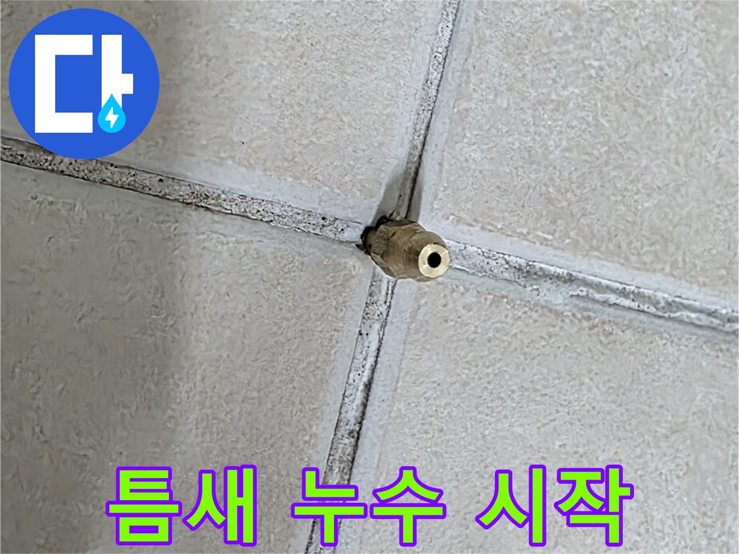양주 백석 서광아파트 누수 - 타일 틈새는 누수 해결의 시작점입니다.