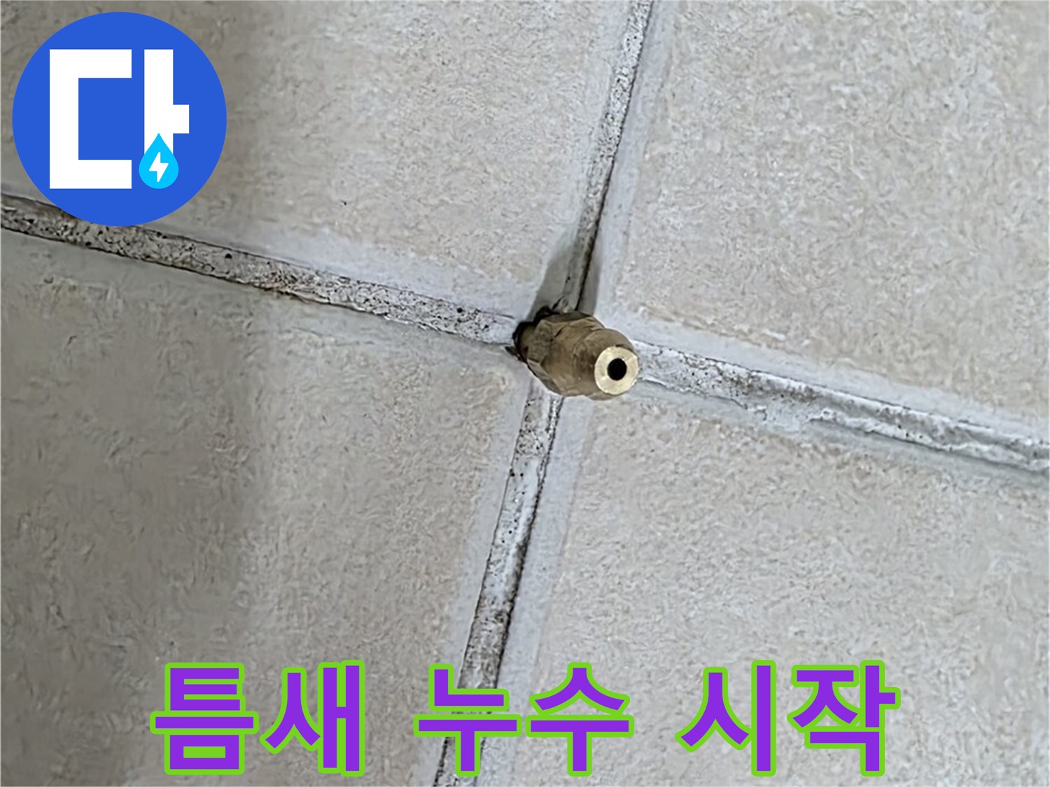 양주 백석 서광아파트 누수 - 타일 틈새는 누수 해결의 시작점입니다.