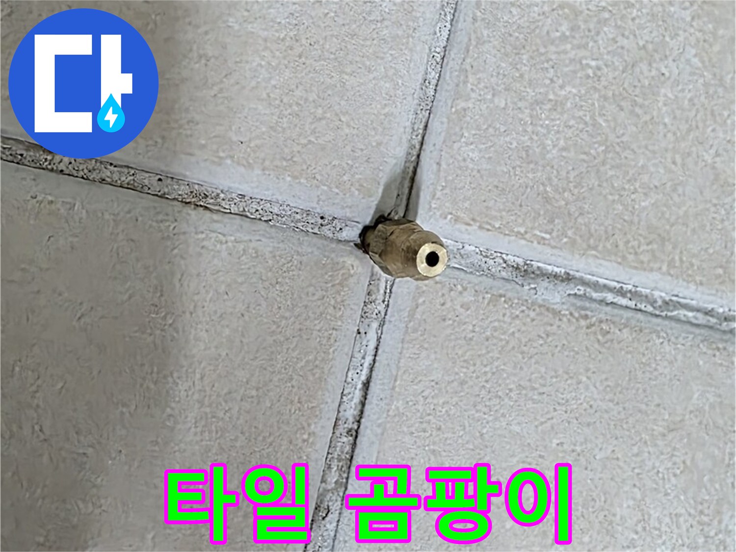 양주 백석 서광아파트 누수 - 타일 틈새의 곰팡이는 누수뿐만 아니라 건강에도 악영향을 미칠 수 있습니다.