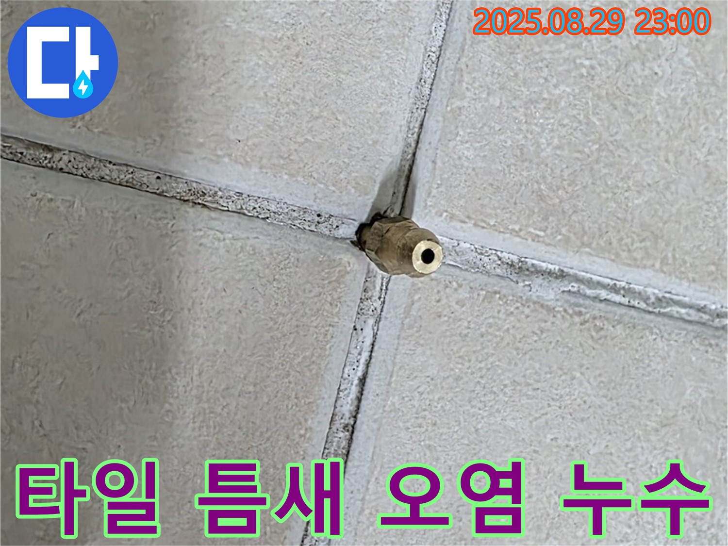 양주 백석 서광아파트 누수 - 타일 틈새의 오염 물질이 누수를 유발할 수 있습니다. - 청결 유지가 중요합니다.