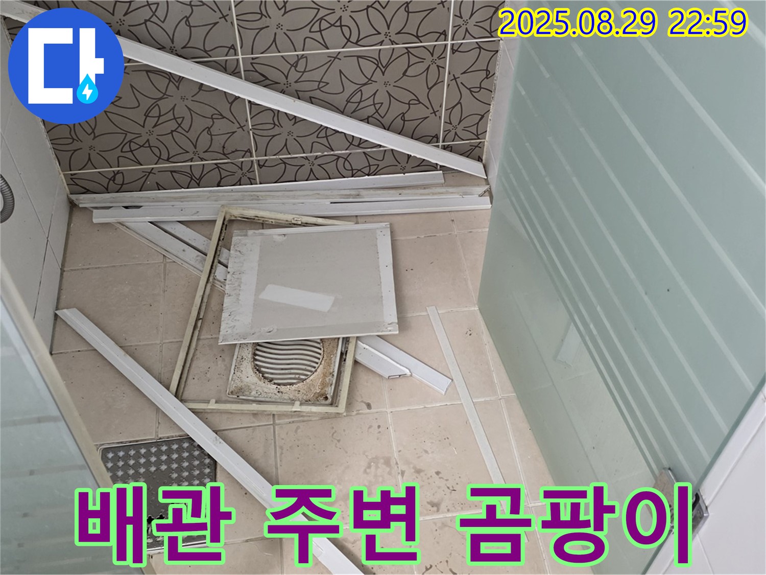양주 백석 서광아파트 욕실 - 문제의 배관 연결 부위 주변에 곰팡이가 심하게 피어있는 것을 집중 촬영했습니다.