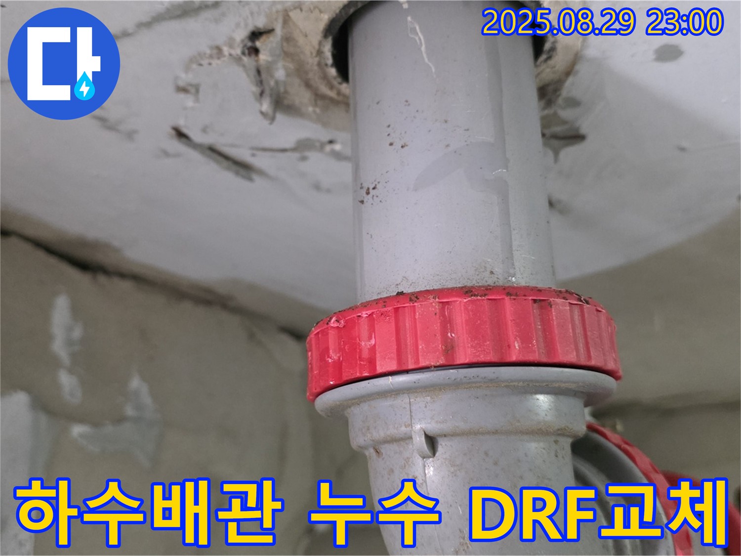 양주 백석 서광아파트 하수배관 누수 - 문제 부분 절단 후 DRF 부속으로 깔끔하게 교체하여 누수 해결
