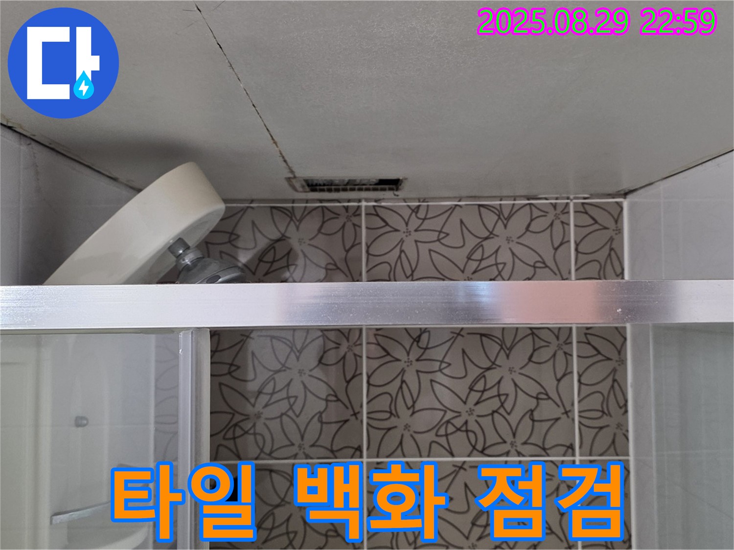 양주 서광아침의빛아파트 욕실 - 샤워기 벽면 타일 틈새 곰팡이 및 백화현상 동시 발생 상태를 점검하는 사진