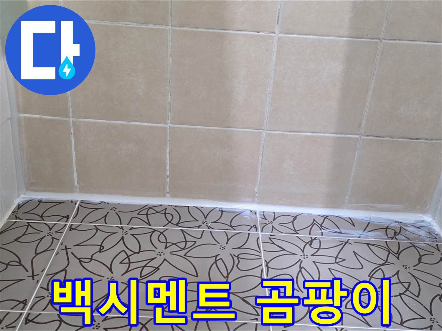 양주 서광아파트 욕실 누수 - 백시멘트 메꿈 및 곰팡이 방지 코팅, 쾌적하고 깨끗한 욕실 환경 조성