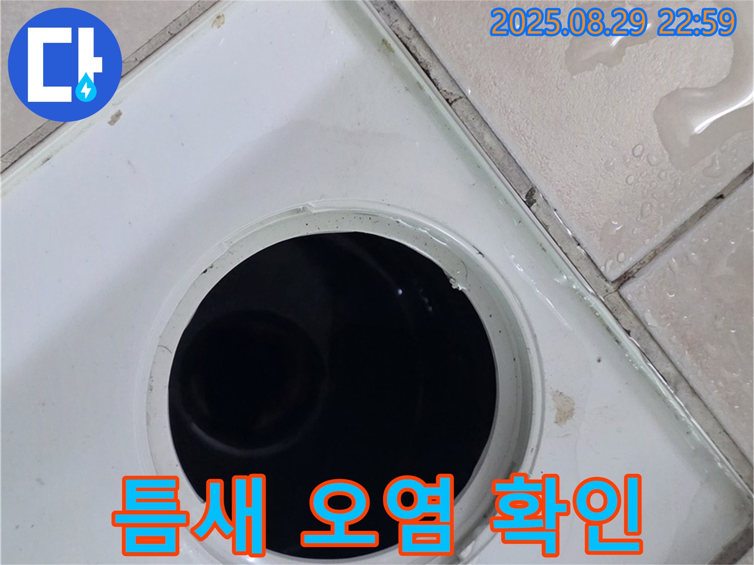 양주시 백석읍 봉암리 서광아침의빛아파트 104동 욕실 - 배수구 주변 타일 틈새 오염 상태를 확인하고 청소를 준비합니다 - 틈새에 낀 오염 물질을 확인합니다.