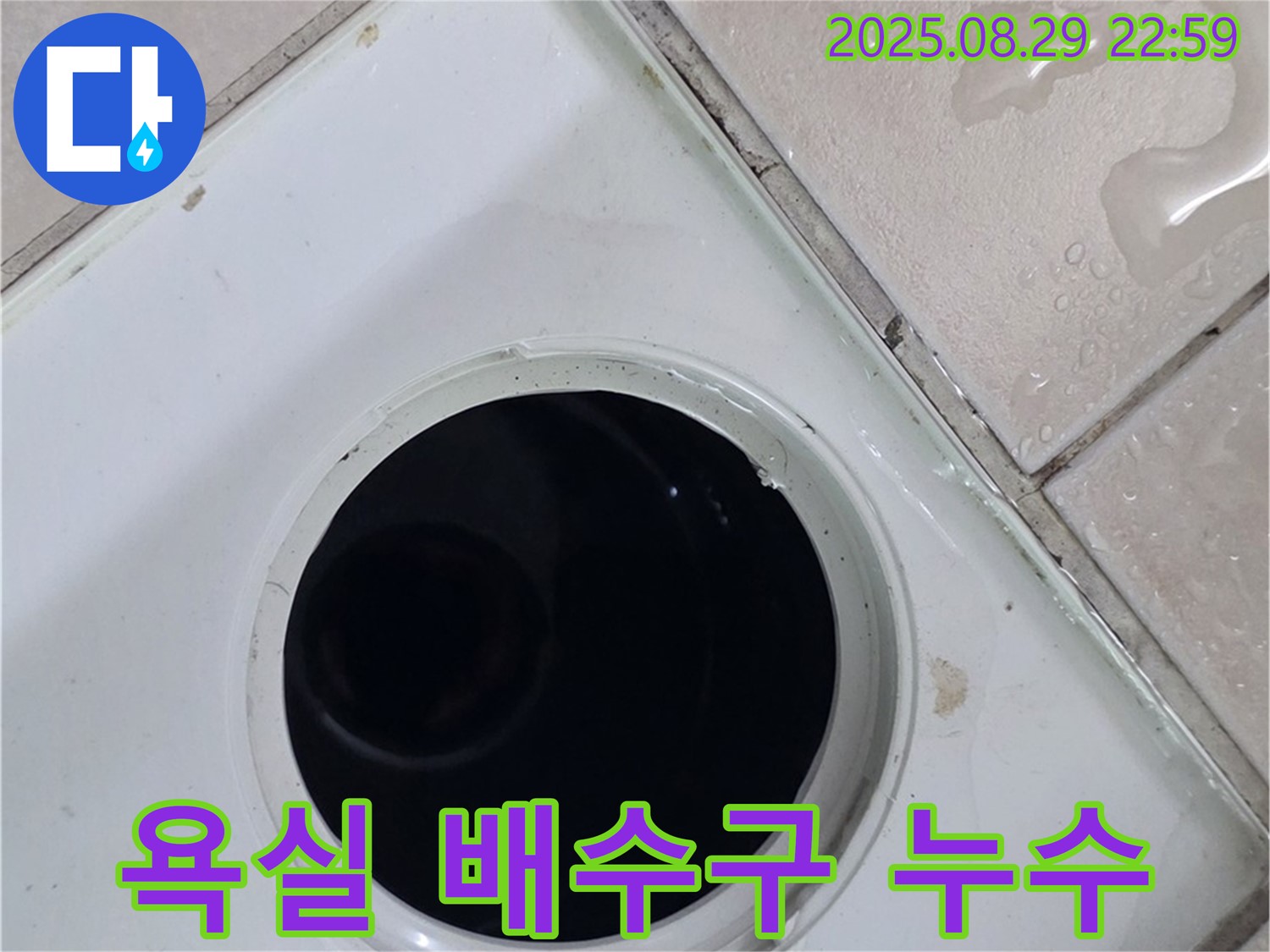 양주시 백석읍 서광아파트 104동 욕실 배수구 주변 누수 - 배수구 주변의 물 자국과 젖은 타일을 통해 누수 위치를 확인하고 있습니다.