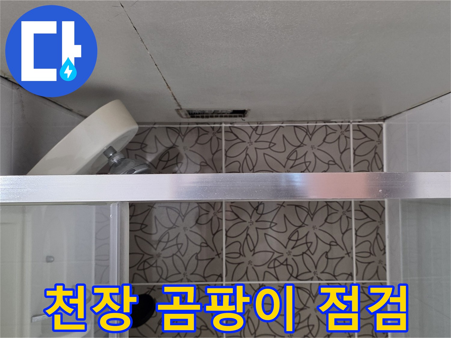 양주시 백석읍 서광아파트 욕실 천장 곰팡이 - 누수 현장 꼼꼼하게 점검