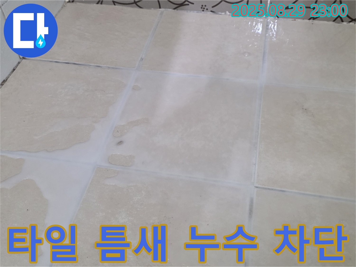 양주시 백석읍 서광아파트 욕실 타일 틈새 누수 - 완벽 차단 시공으로 누수 걱정 끝!