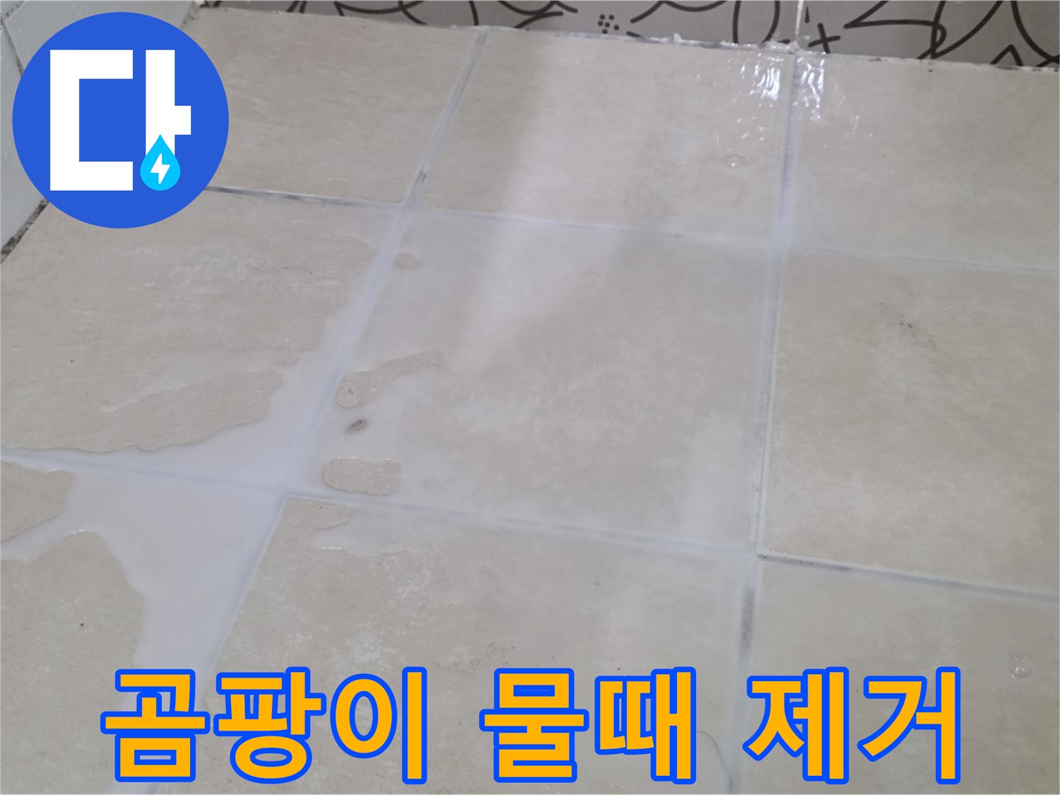 욕실 타일 틈새 곰팡이 물때 제거 - 깨끗하고 쾌적한 욕실 환경 조성
