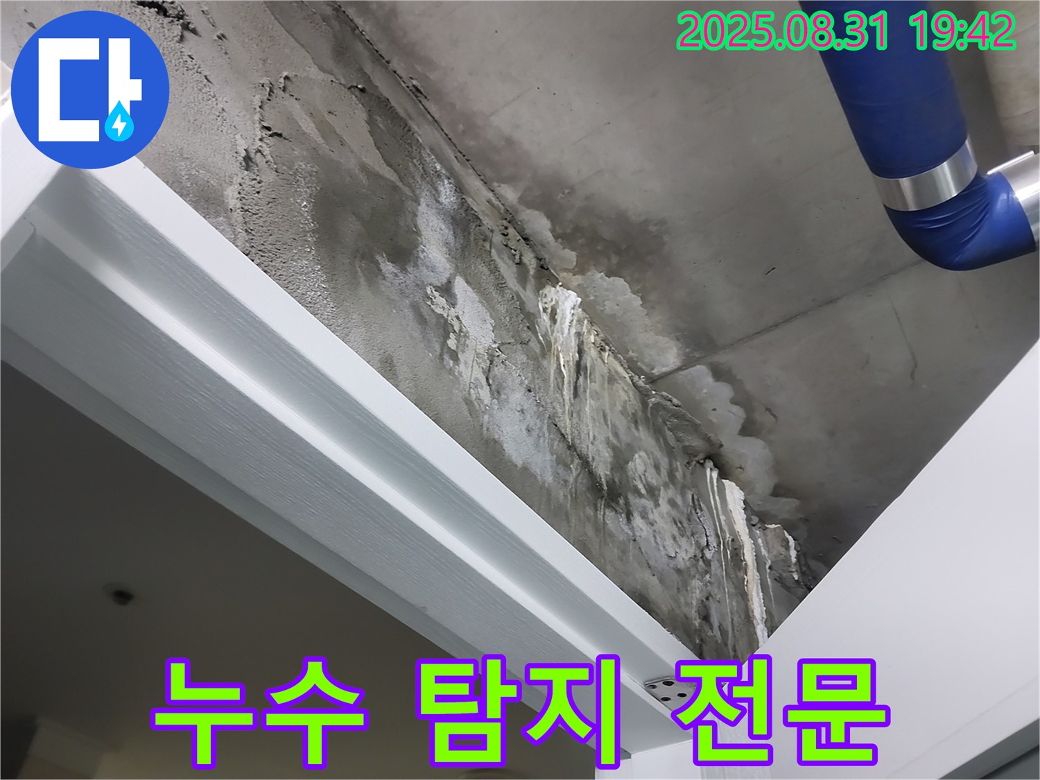누수 탐지 - 전문 장비 사용 - 정확한 누수 지점을 찾기 위한 탐지 작업입니다.