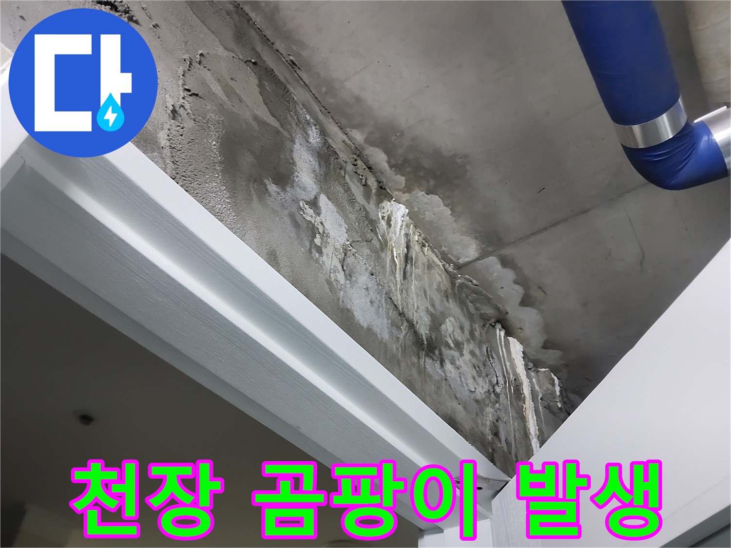 문 위 천장 - 곰팡이 발생 - 누수로 인해 천장에 곰팡이가 발생한 모습을 보여주는 사진입니다.