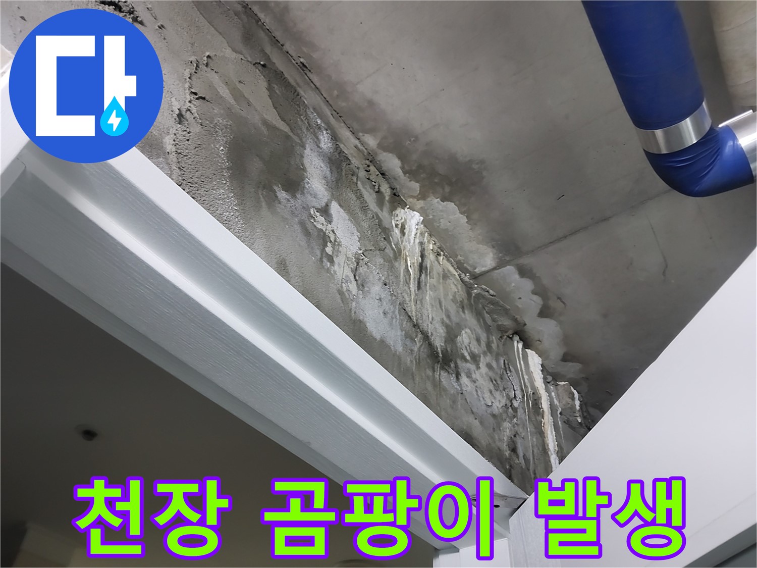 문 위 천장 - 곰팡이 발생 - 누수로 인해 천장에 곰팡이가 발생한 모습을 보여주는 사진입니다.