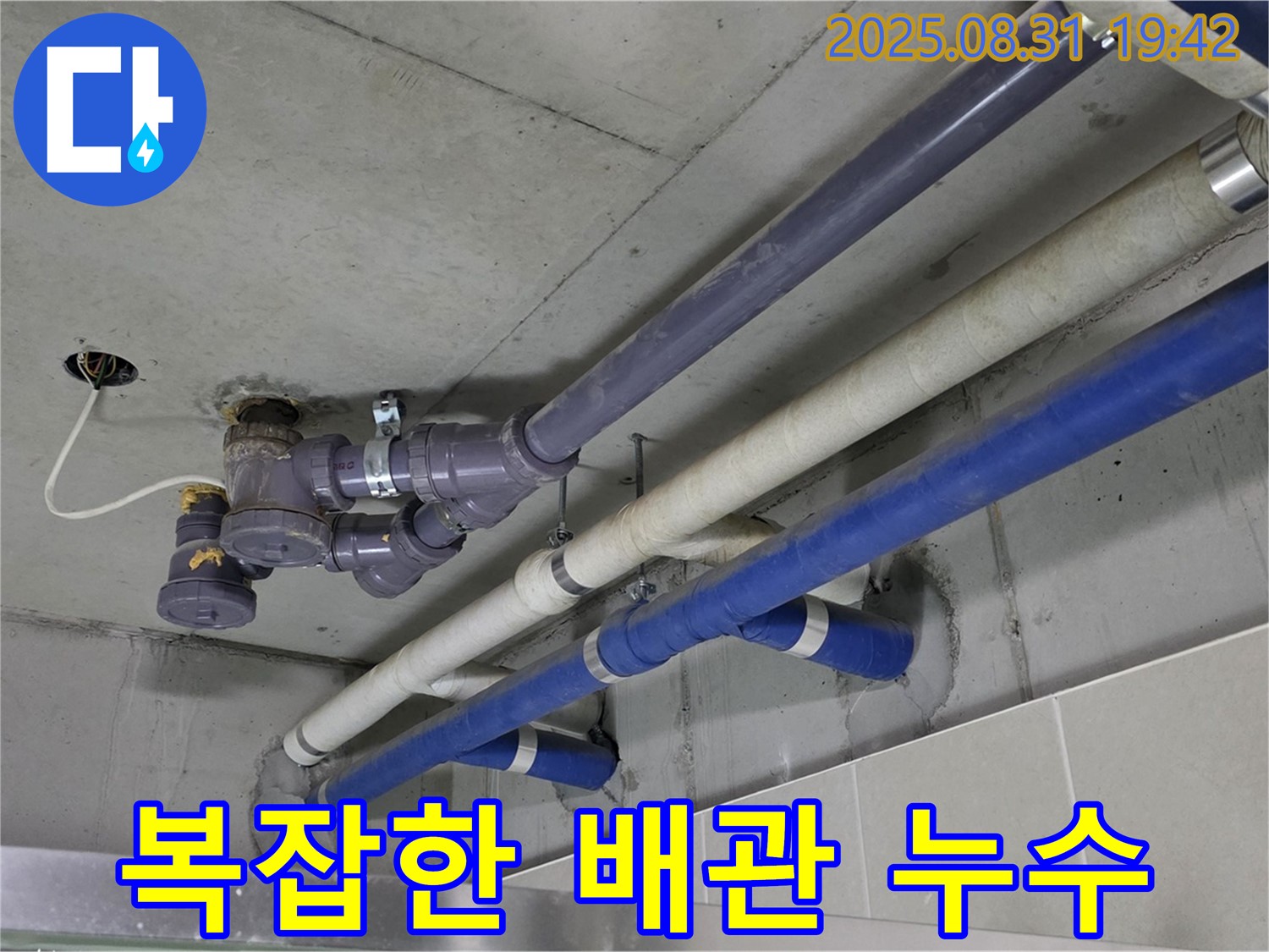 복잡한 배관 누수 - 좁은 공간, 얽히고 설킨 배관에서 누수 발생