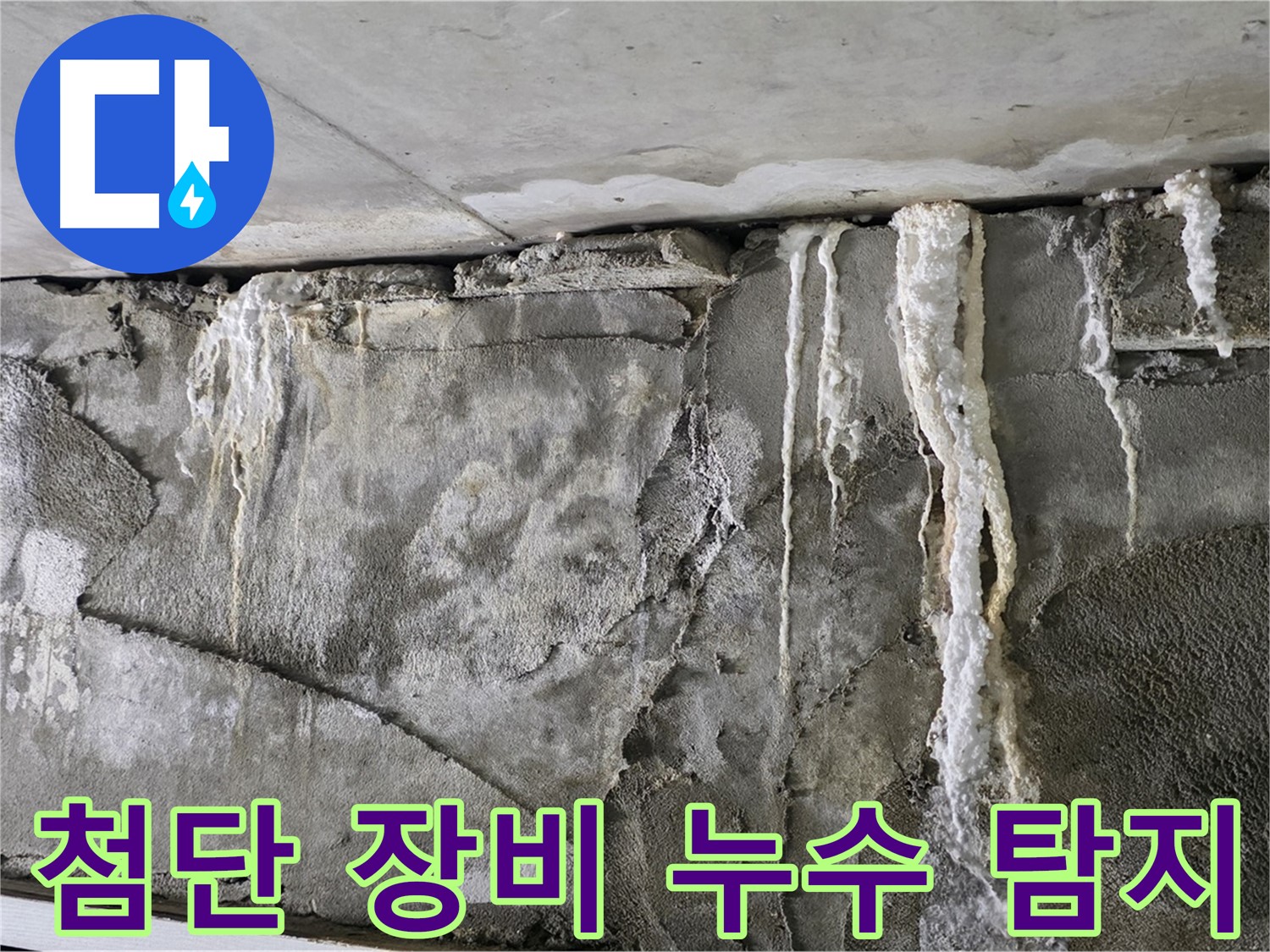 분당 누수 탐지 - 첨단 장비로 숨은 누수 소탕