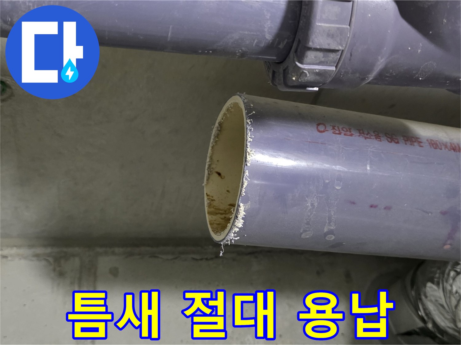 분당 누수 현장 - 배관 연결 부위를 꼼꼼하게 점검하고 실링하는 전문가 - 작은 틈도 절대 용납하지 않습니다.