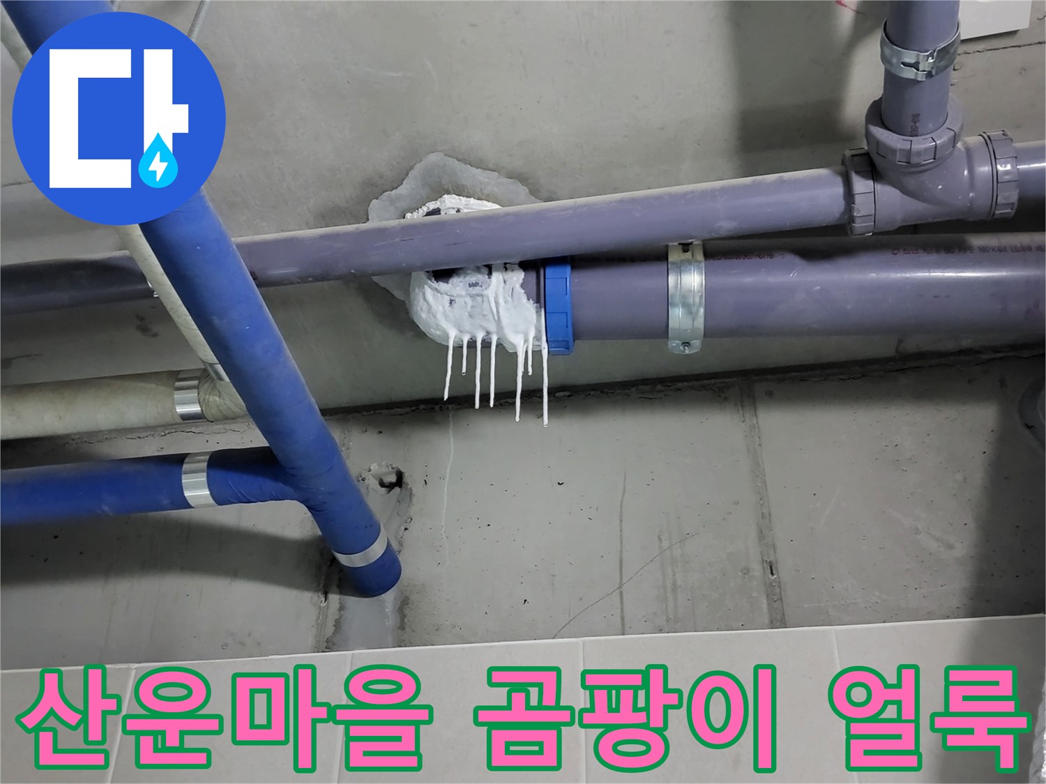 분당 산운마을 하수 누수 - 곰팡이 얼룩