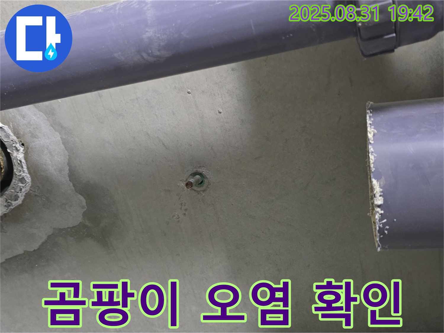 분당 운중동 산운마을 6단지 아파트 누수 - 누수 탐지 후 곰팡이 오염 상태를 확인하고 있습니다.