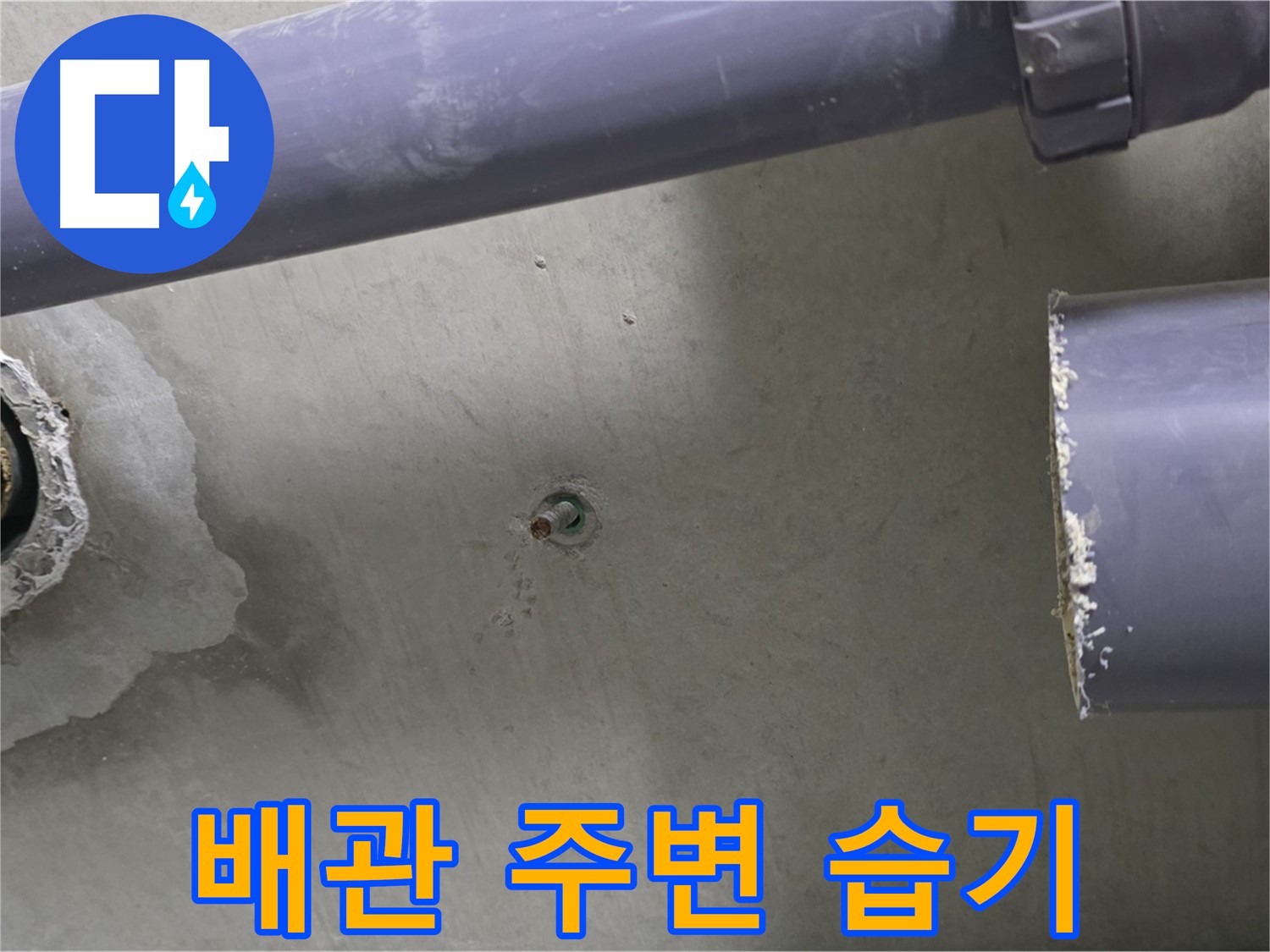 분당 운중동 산운마을 6단지 아파트 누수 현장에서 배관 주변의 습기를 확인하는 모습 - 작은 습기도 누수의 신호일 수 있습니다.