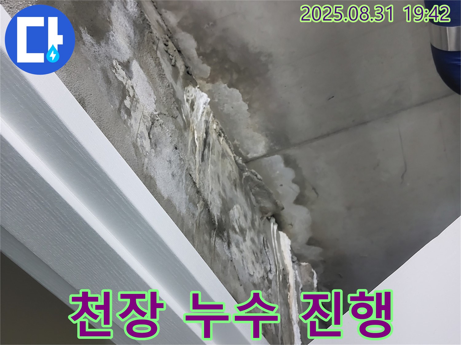 분당 운중동 산운마을 6단지 아파트 천장 누수 진행 상황 - 전문 장비와 기술력으로 누수 원인 진단