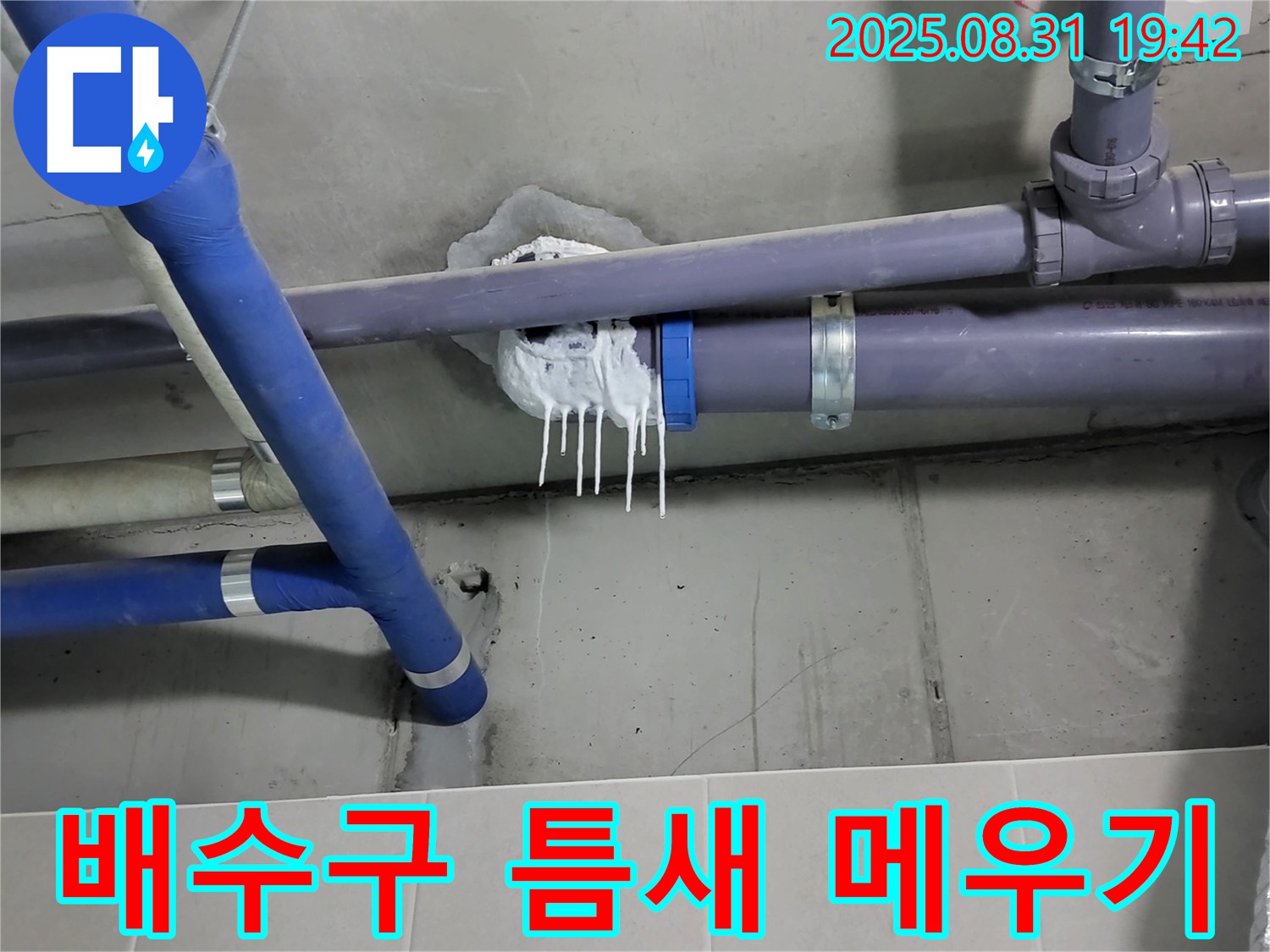 분당 운중동 산운마을 6단지 욕실 누수 - 배수구 주변 틈새 임시 메우기 작업