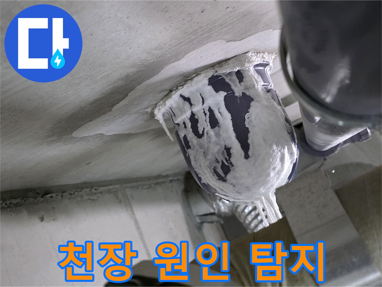 분당 운중동 산운마을 누수 - 정확한 천장 누수 원인 탐색으로 문제 해결 완료
