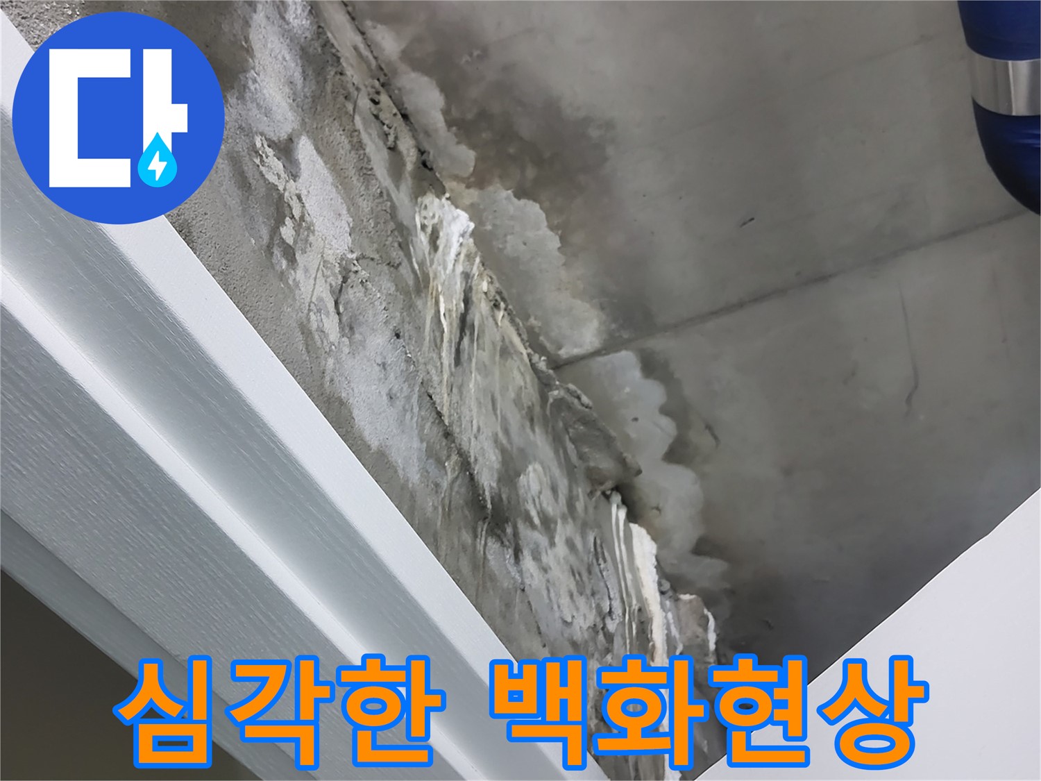 분당 운중동 산운마을 - 콘크리트 누수 - 심각한 백화현상 - 긴급 점검 필요